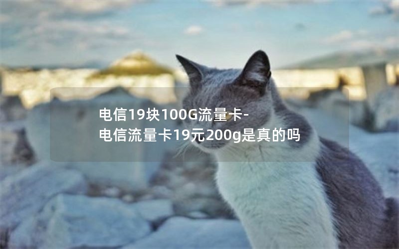 电信19块100G流量卡-电信流量卡19元200g是真的吗