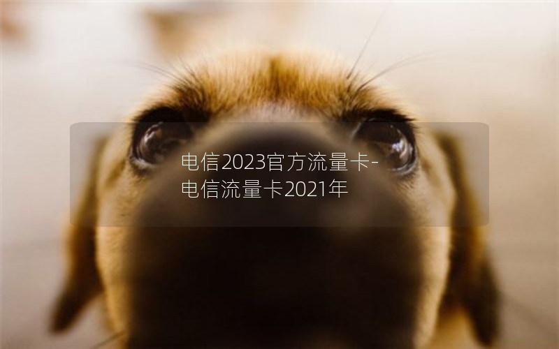 电信2023官方流量卡-电信流量卡2021年