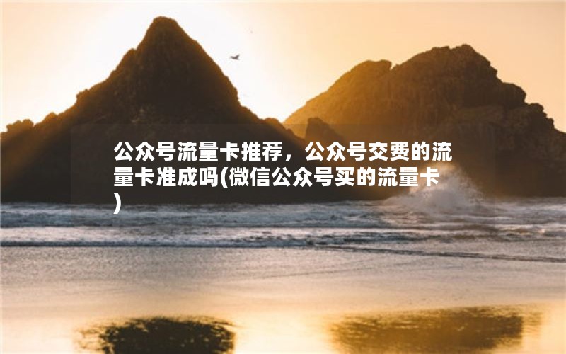 公众号流量卡推荐，公众号交费的流量卡准成吗(微信公众号买的流量卡)