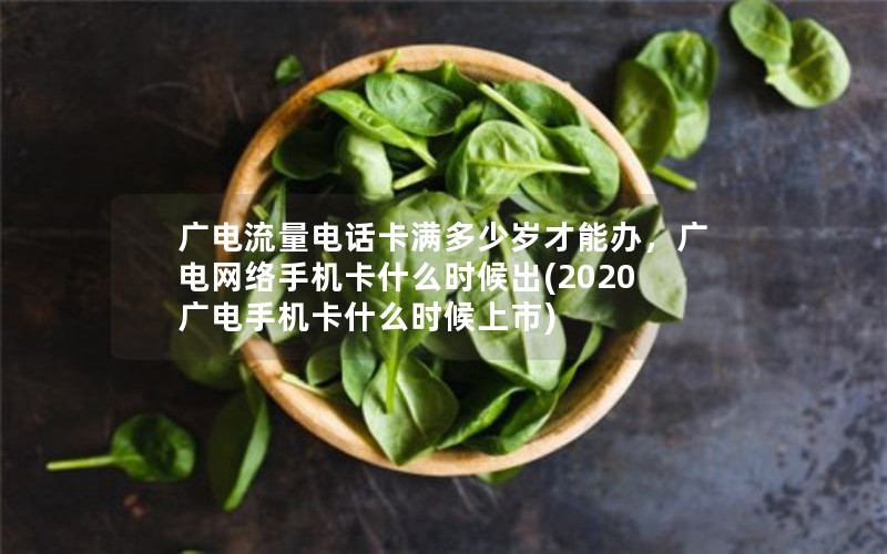 广电流量电话卡满多少岁才能办，广电网络手机卡什么时候出(2020广电手机卡什么时候上市)