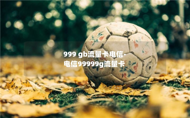 999 gb流量卡电信-电信99999g流量卡