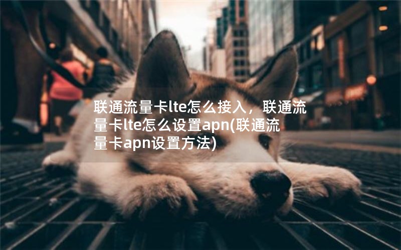 联通流量卡lte怎么接入，联通流量卡lte怎么设置apn(联通流量卡apn设置方法)