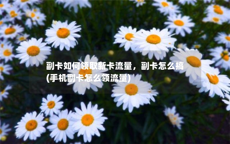 副卡如何领取新卡流量，副卡怎么搞(手机副卡怎么领流量)