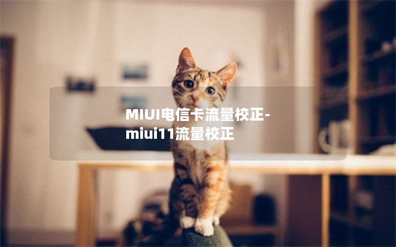 MIUI电信卡流量校正-miui11流量校正