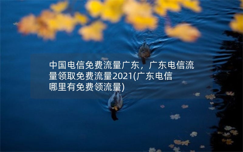 中国电信免费流量广东，广东电信流量领取免费流量2021(广东电信哪里有免费领流量)