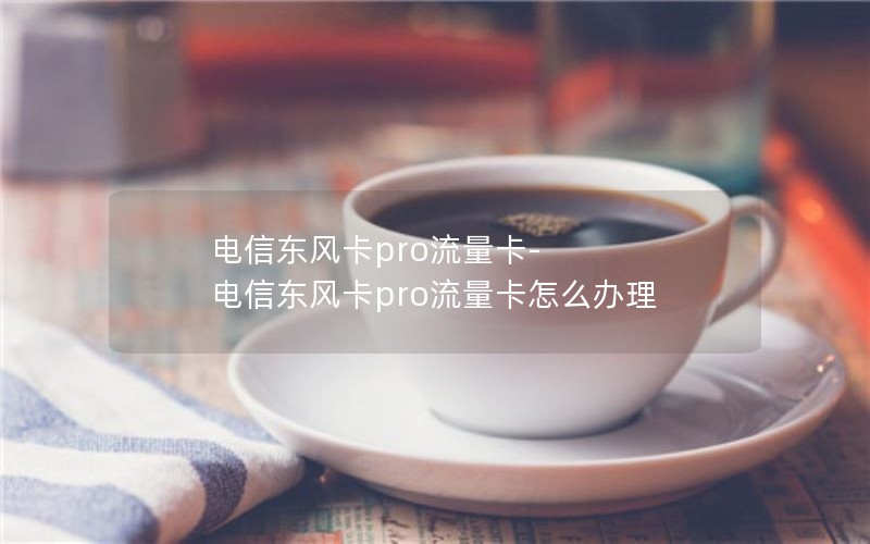 电信东风卡pro流量卡-电信东风卡pro流量卡怎么办理