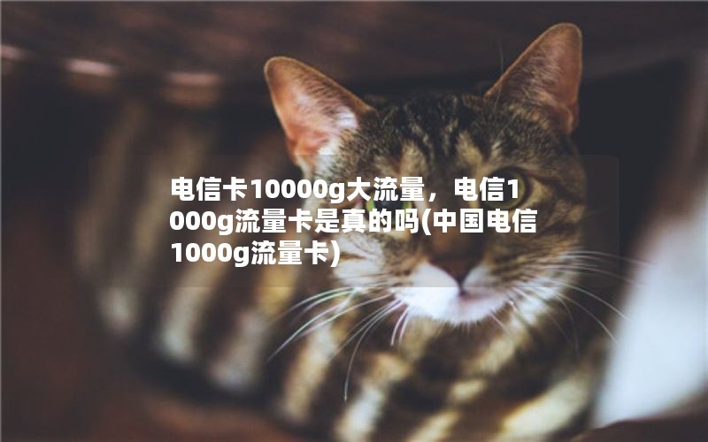 电信卡10000g大流量，电信1000g流量卡是真的吗(中国电信1000g流量卡)