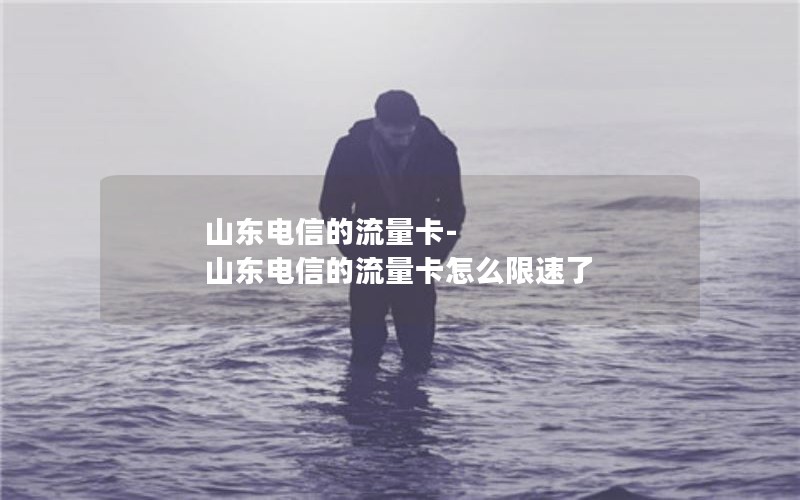 山东电信的流量卡-山东电信的流量卡怎么限速了