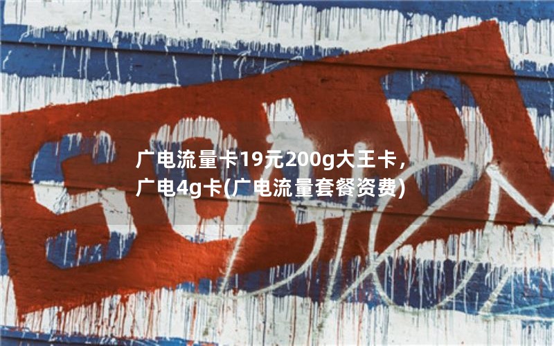 广电流量卡19元200g大王卡，广电4g卡(广电流量套餐资费)