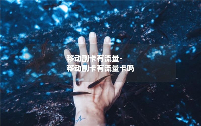 移动副卡有流量-移动副卡有流量卡吗