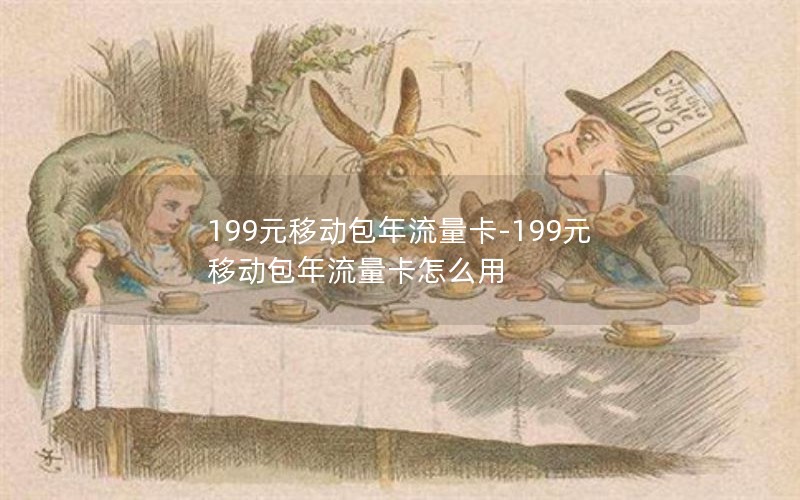 199元移动包年流量卡-199元移动包年流量卡怎么用