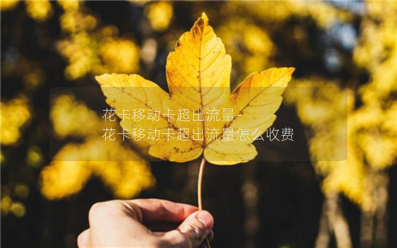 花卡移动卡超出流量-花卡移动卡超出流量怎么收费