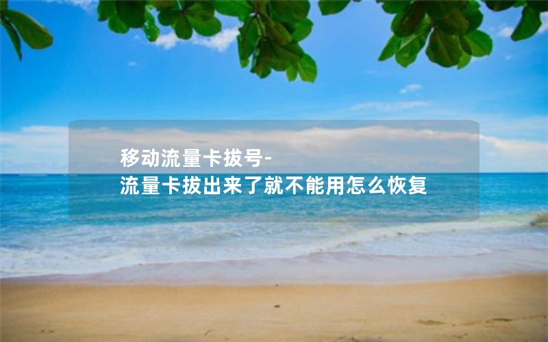 移动流量卡拔号-流量卡拔出来了就不能用怎么恢复