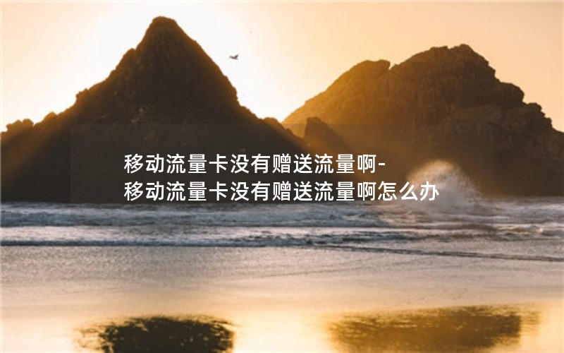 移动流量卡没有赠送流量啊-移动流量卡没有赠送流量啊怎么办