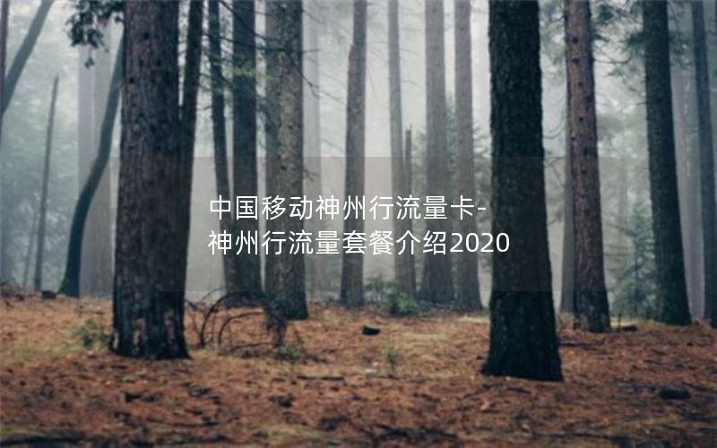 中国移动神州行流量卡-神州行流量套餐介绍2020