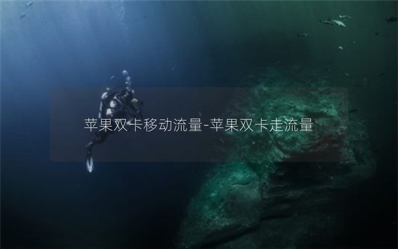 苹果双卡移动流量-苹果双卡走流量