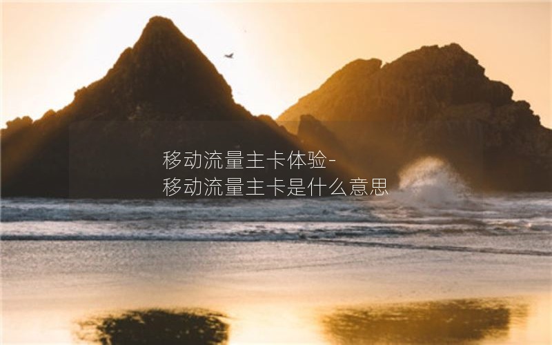 移动流量主卡体验-移动流量主卡是什么意思