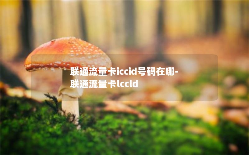 联通流量卡iccid号码在哪-联通流量卡lccld