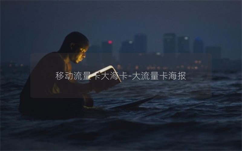 移动流量卡大海卡-大流量卡海报