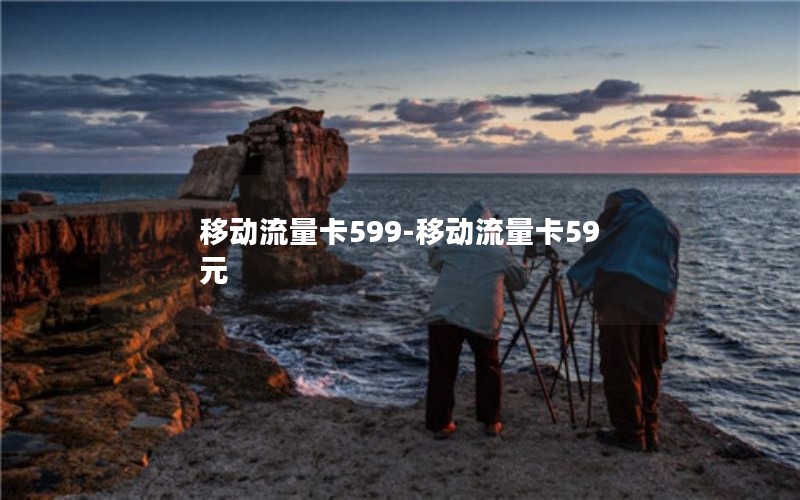 移动流量卡599-移动流量卡59元