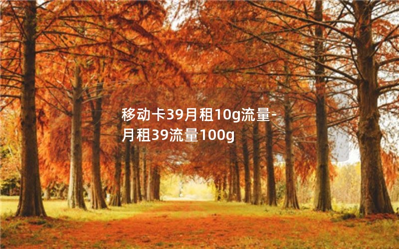 移动卡39月租10g流量-月租39流量100g