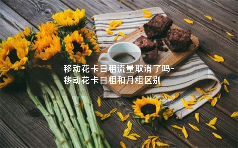 移动花卡日租流量取消了吗-移动花卡日租和月租区别