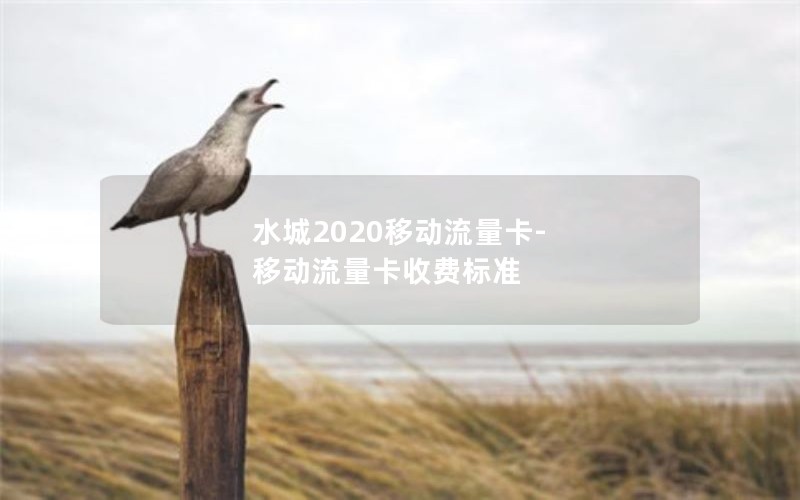 水城2020移动流量卡-移动流量卡收费标准