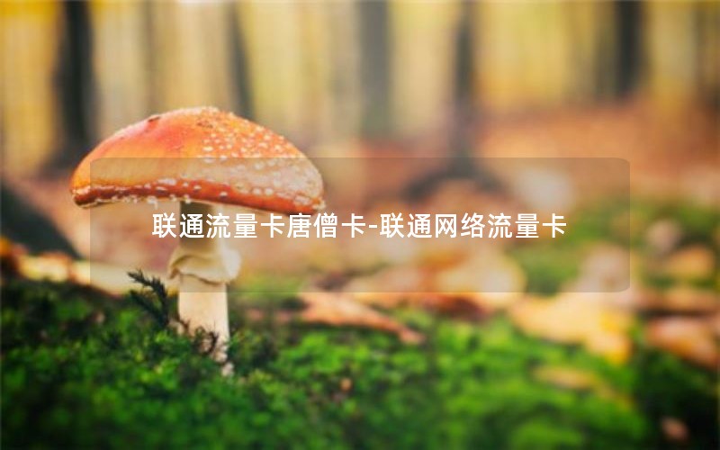 联通流量卡唐僧卡-联通网络流量卡