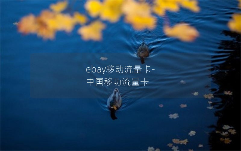 ebay移动流量卡-中国移功流量卡