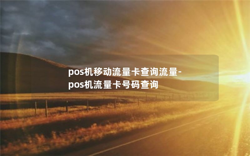 pos机移动流量卡查询流量-pos机流量卡号码查询