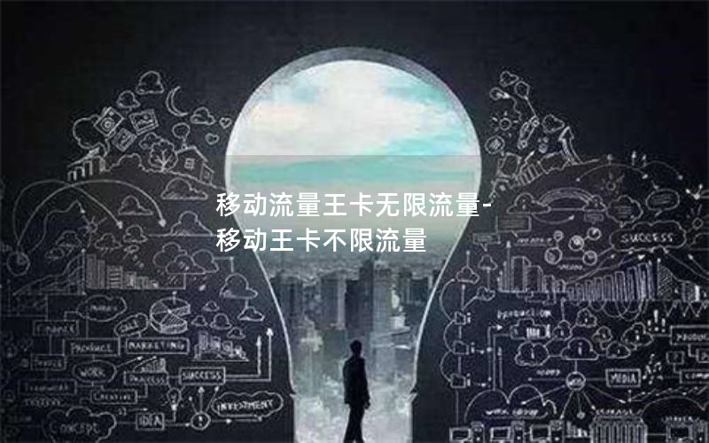 移动流量王卡无限流量-移动王卡不限流量