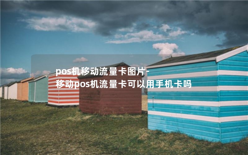 pos机移动流量卡图片-移动pos机流量卡可以用手机卡吗