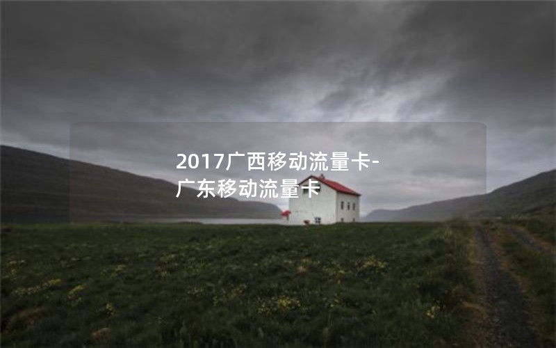 2017广西移动流量卡-广东移动流量卡