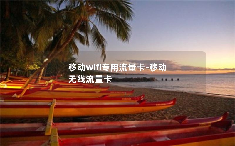 移动wifi专用流量卡-移动 无线流量卡