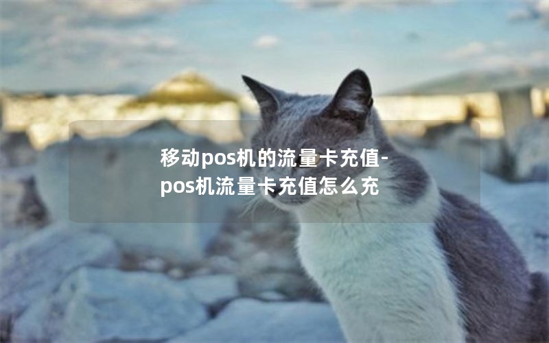 移动pos机的流量卡充值-pos机流量卡充值怎么充