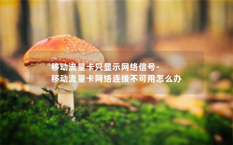 移动流量卡只显示网络信号-移动流量卡网络连接不可用怎么办